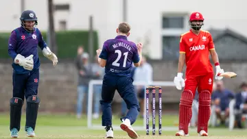 Cricket.jpg