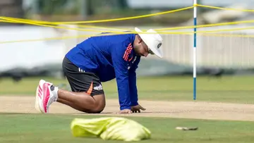 Cricket.jpg