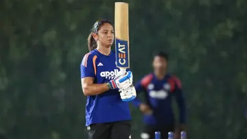 Cricket.jpg