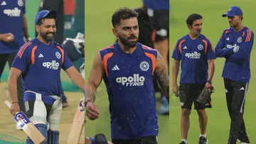 cricket