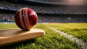 Cricket Bat Ball