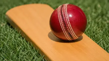 Cricket bat ball