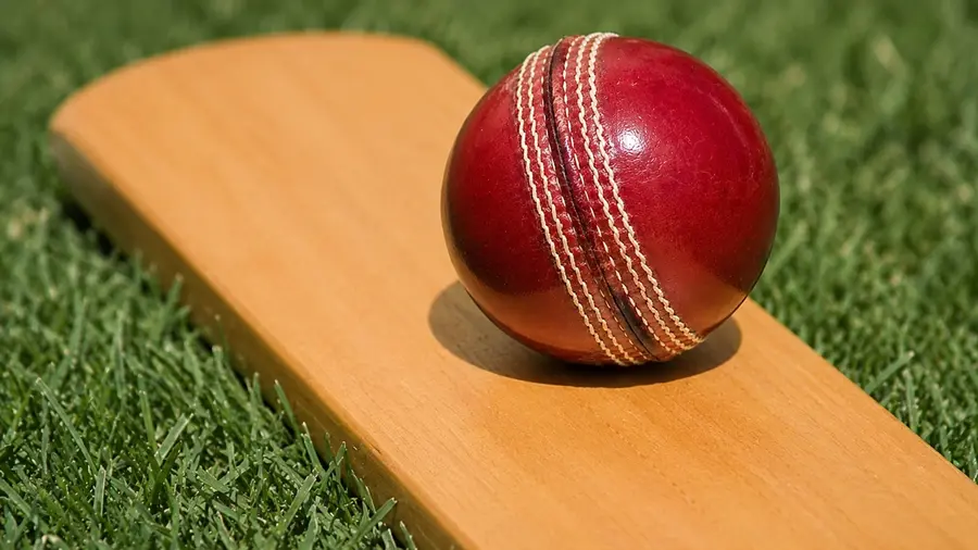 Cricket bat ball