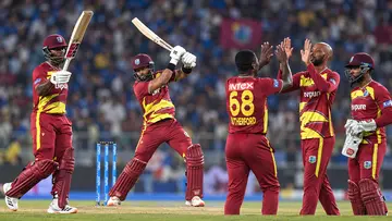 cricket