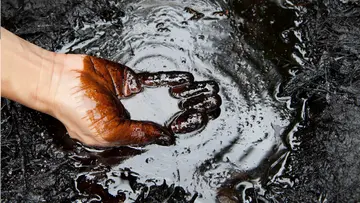 Crude Oil Price Slashes