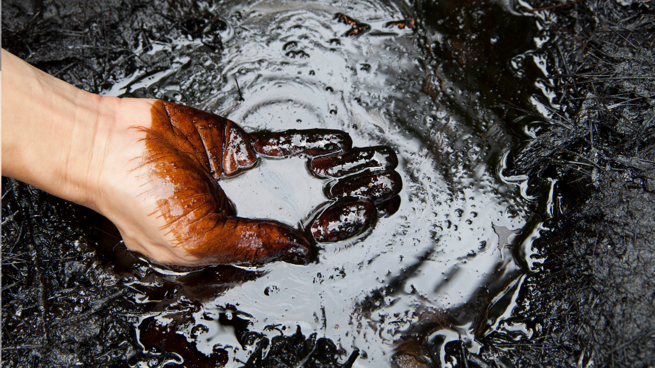 Crude Oil Price Slashes