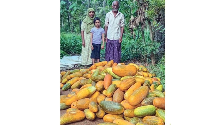 Vishu Kani