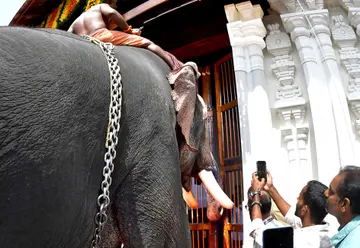 വടക്കുന്നാഥക്ഷേത്രത്തിന്റെ പുനർനിർമാണം നടത്തിയ കിഴക്കേ ഗോപുരത്തിന്റെ വാതിൽ കൊച്ചിൻ ദേവസ്വം ബോർഡിന്റെ  ആന എറണാകുളം ശിവകുമാർ തള്ളിത്തുറക്കുന്നു 