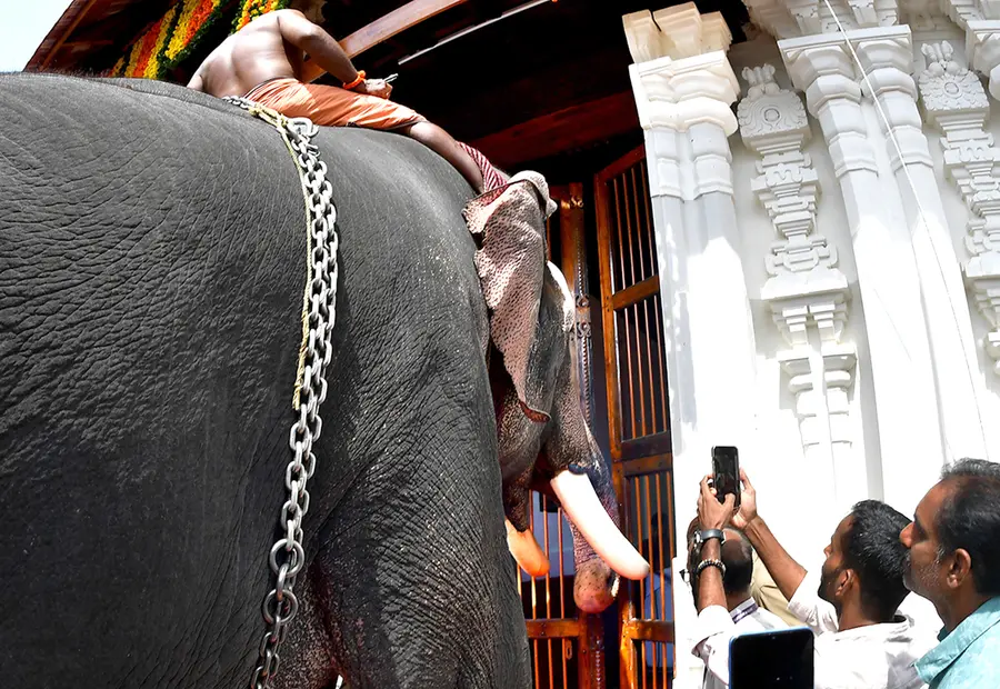 വടക്കുന്നാഥക്ഷേത്രത്തിന്റെ പുനർനിർമാണം നടത്തിയ കിഴക്കേ ഗോപുരത്തിന്റെ വാതിൽ കൊച്ചിൻ ദേവസ്വം ബോർഡിന്റെ  ആന എറണാകുളം ശിവകുമാർ തള്ളിത്തുറക്കുന്നു 