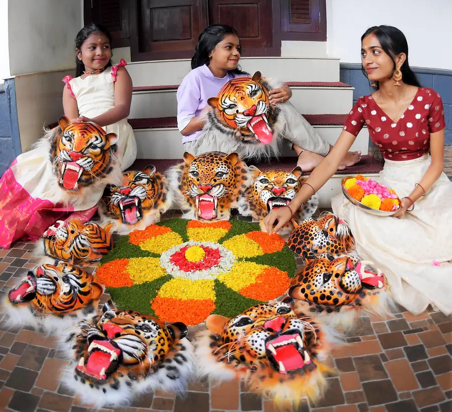 ഉത്രാട നാളിൽ പുതൂർക്കരയിൽ ഇല്ലിക്കൽ വീട്ടിലെ കുട്ടികൾ പുലിമുഖവും പൂക്കളും ഉപയോഗിച്ച് പൂക്കളം ഒരുക്കുന്നു / ഫോട്ടോ: ഡിവിറ്റ് പോൾ