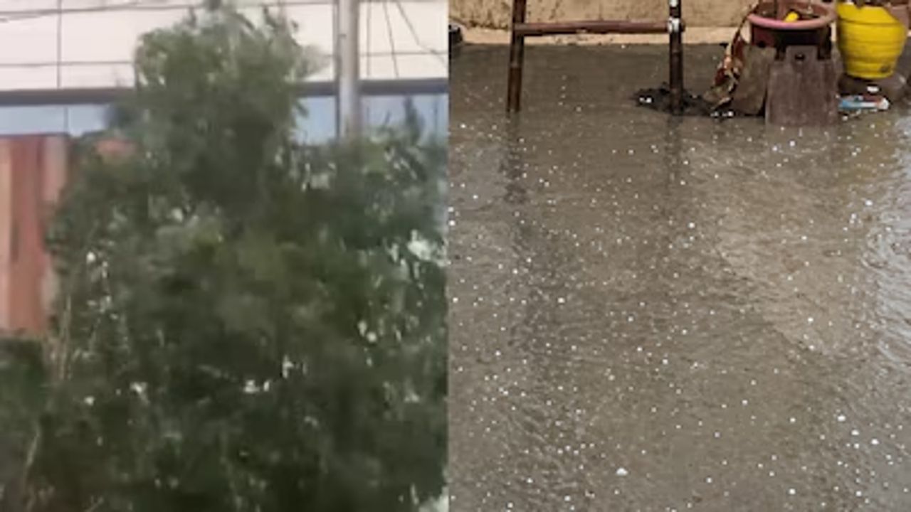 Delhi.jpg