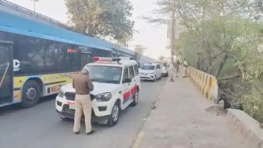 Delhi Flyover crime.jpg