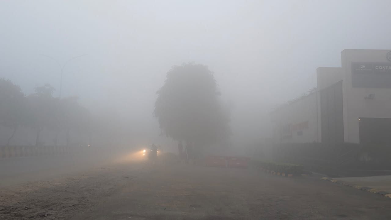 Delhi Smog