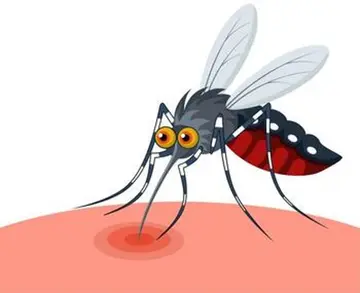 Dengue fever