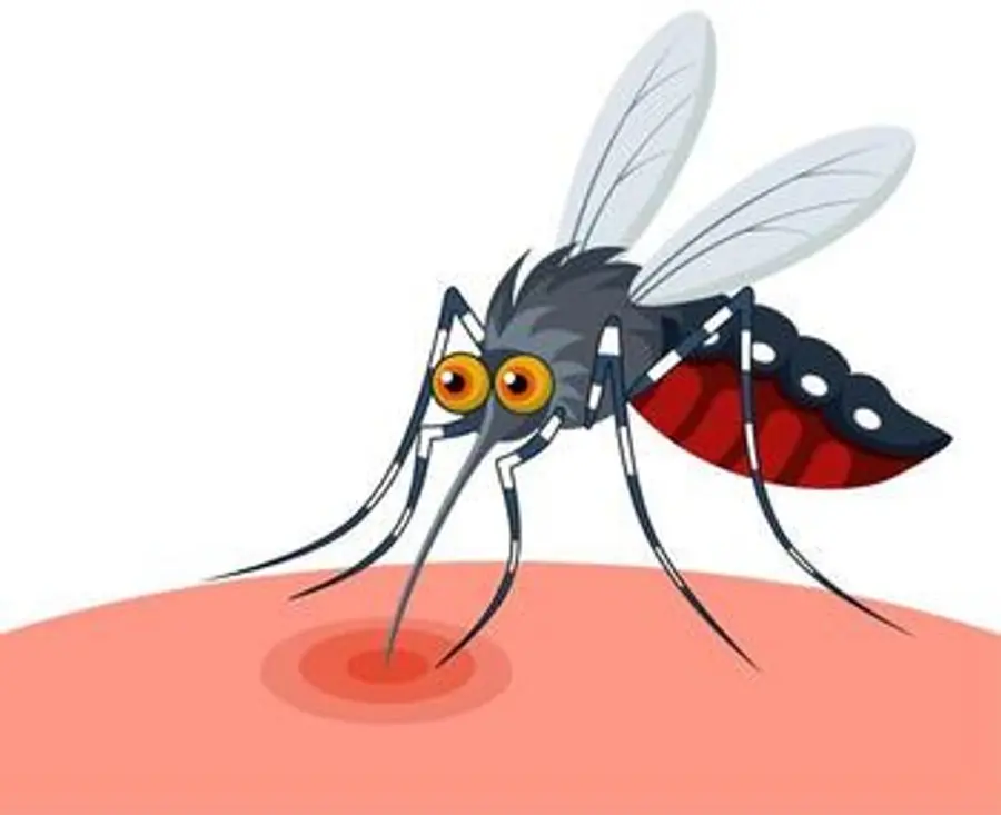 Dengue fever
