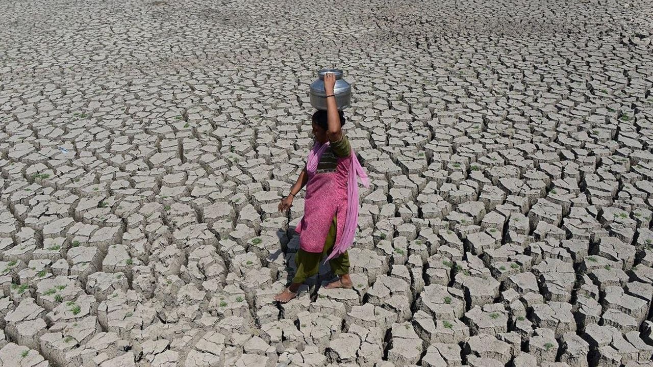 Drought.jpg