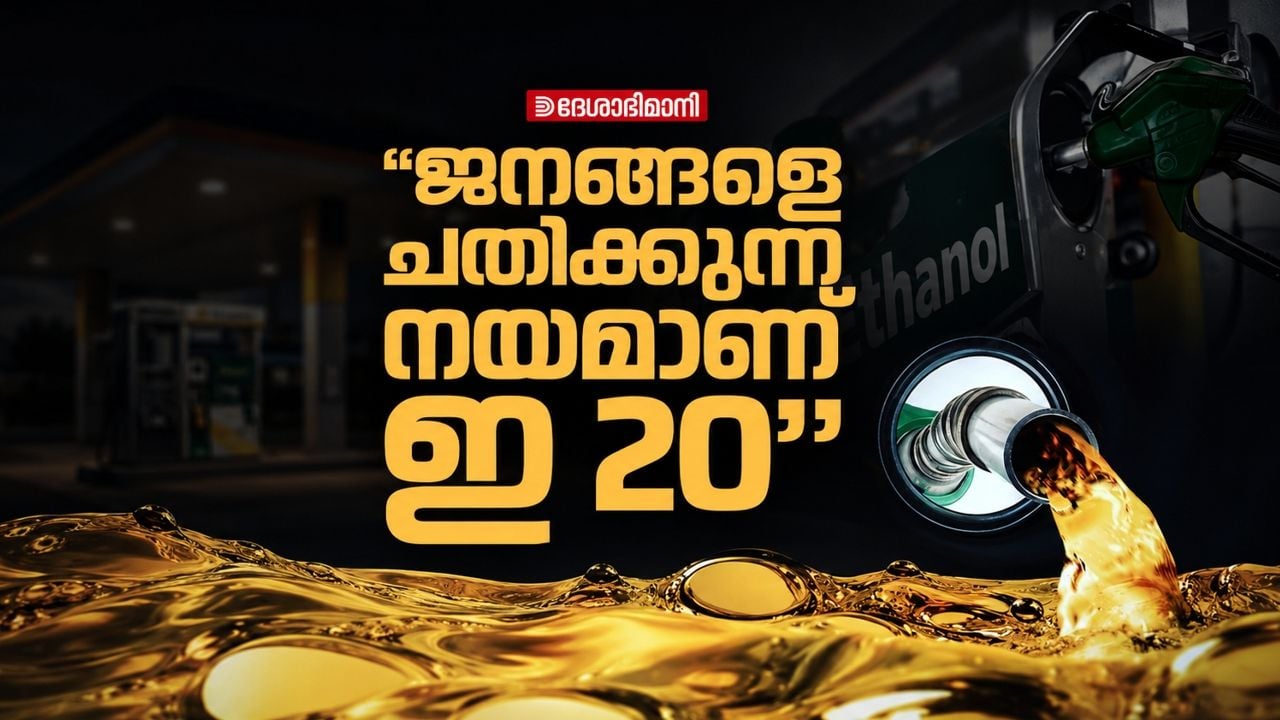 E20 petrol public reaction