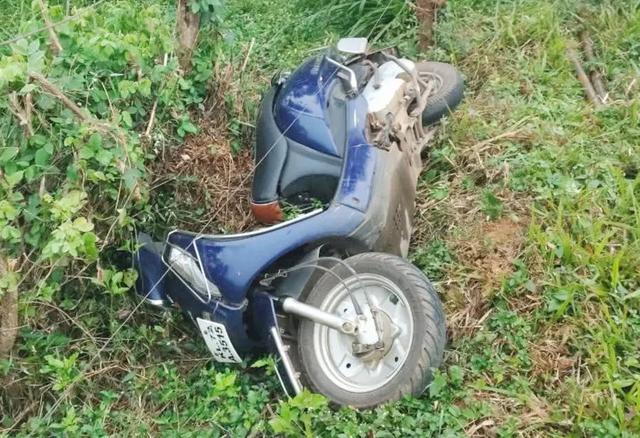 കാട്ടാന;