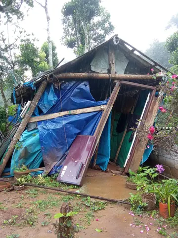 കാട്ടാന ആക്രമണം