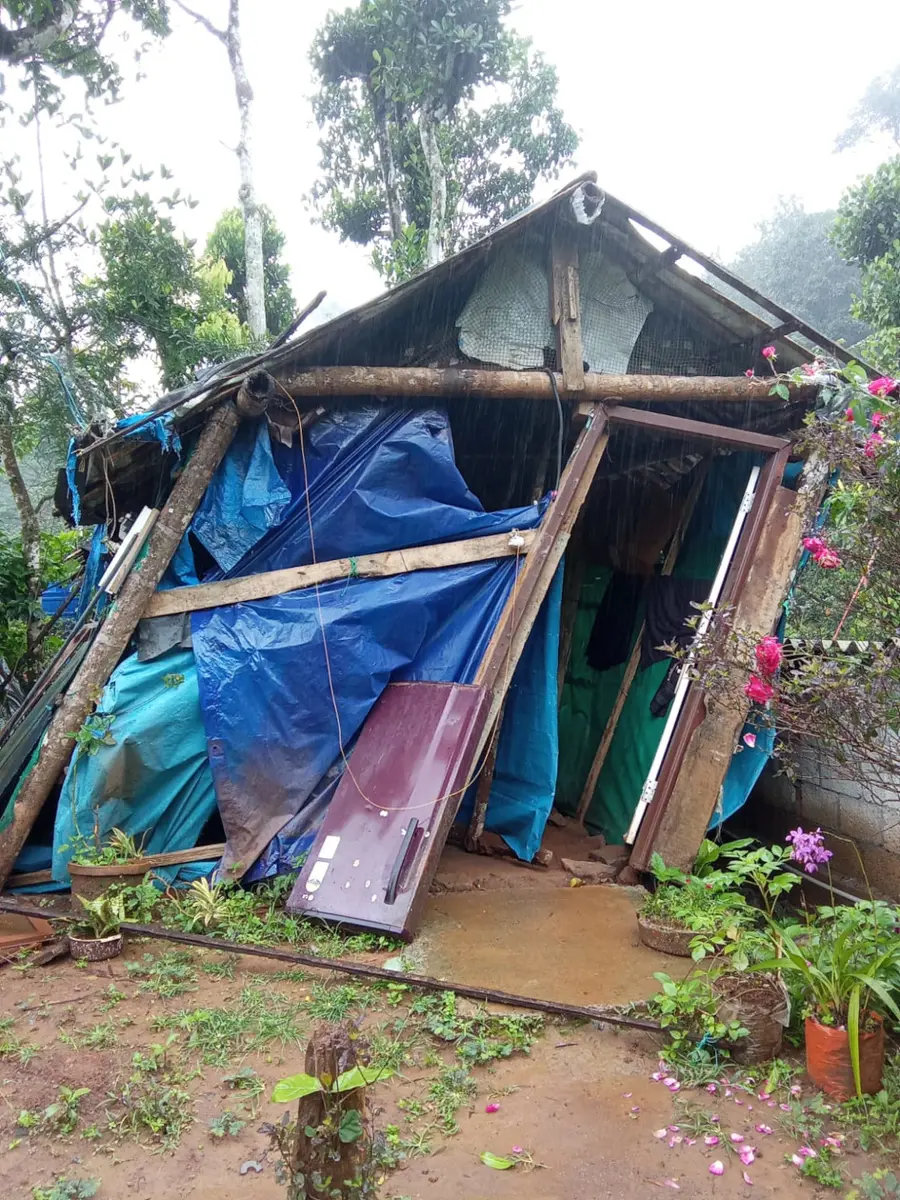 കാട്ടാന ആക്രമണം