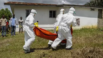 Ebola.jpg