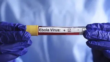 Ebola.jpg