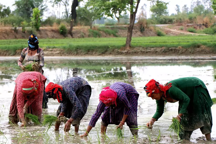 women farmers