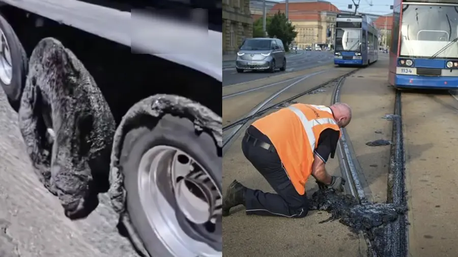 Europe.jpg