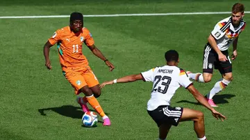 FIFA