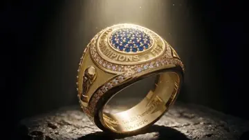 FIFA RINGS