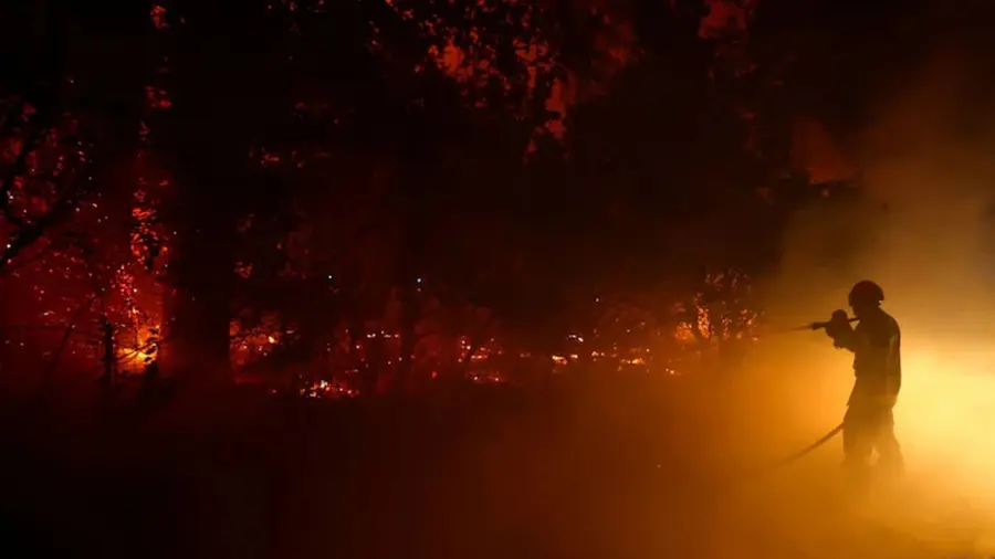 FRANCE FIRE