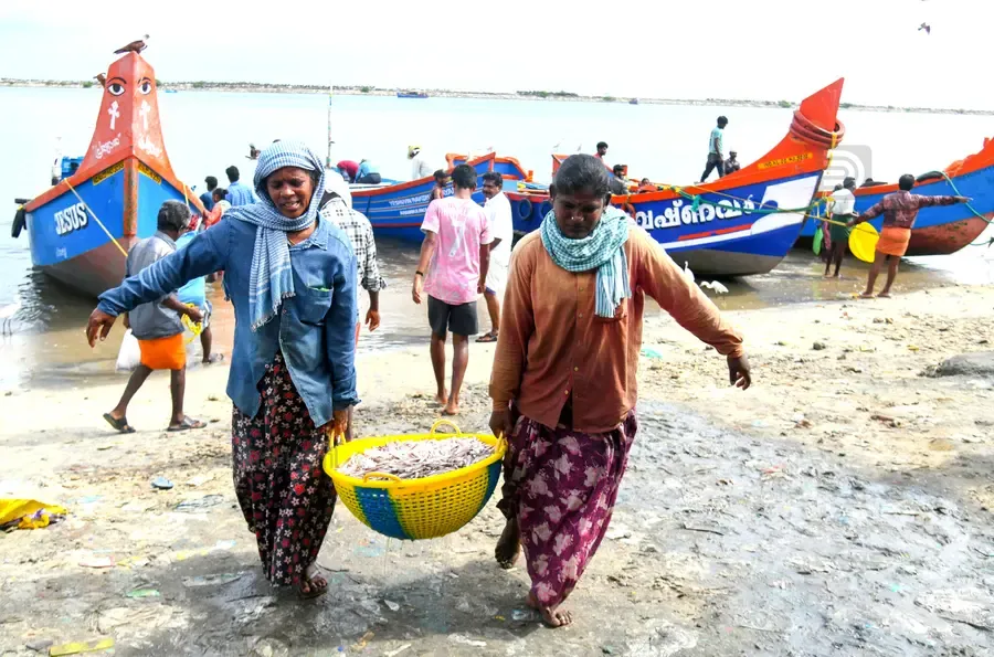 ട്രോളിംഗ് നിരോധനം വന്നതോടെ വള്ളത്തിൽ നിന്നു മത്സ്യവുമായി പോകുന്ന സ്ത്രീകൾ വാടിയിൽ നിന്നുള്ള കാഴ്ച