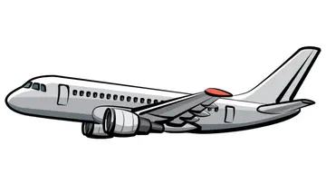 Flight.jpg