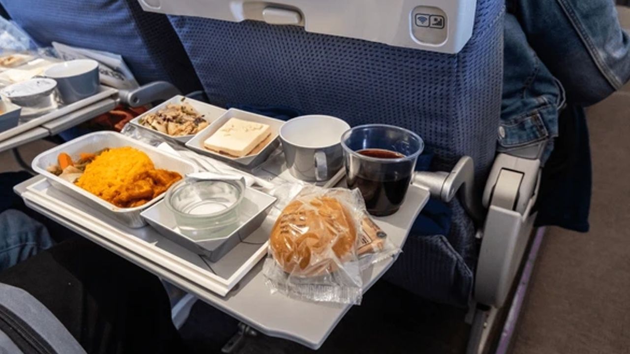 Food in Flight.jpg