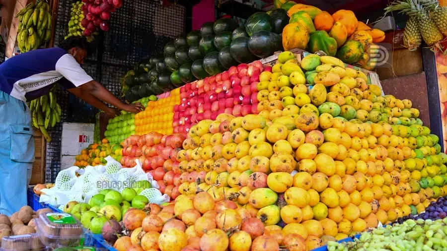 Fruits