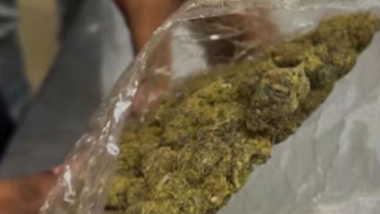 GANJA