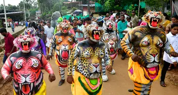 തൃശൂർ സുവോളജിക്കൽ പാർക്കിന്റെ ഉദ്‌ഘാടന ചടങ്ങിനോടനുബന്ധിച്ചു നടന്ന സാംസ്‌കാരിക ഘോഷയാത്രയിലെ പുലികളി 