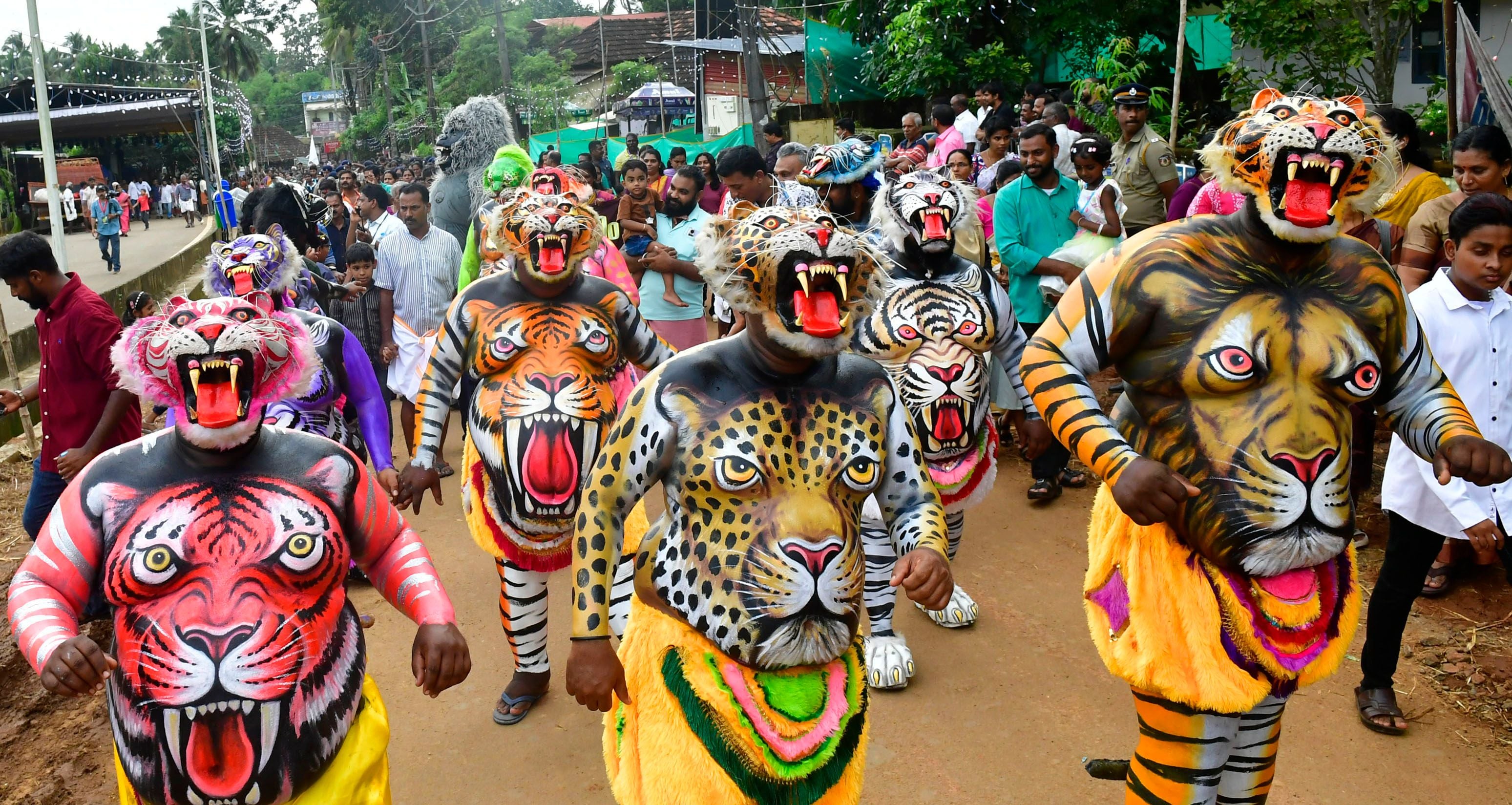 തൃശൂർ സുവോളജിക്കൽ പാർക്കിന്റെ ഉദ്‌ഘാടന ചടങ്ങിനോടനുബന്ധിച്ചു നടന്ന സാംസ്‌കാരിക ഘോഷയാത്രയിലെ പുലികളി 