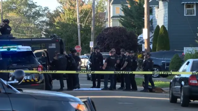 Gun