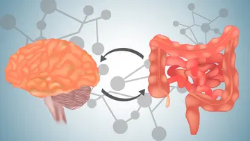 GUT AND BRAIN