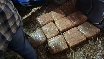 Ganja.jpg