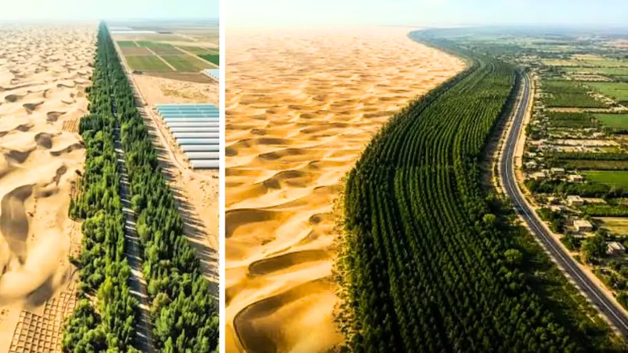 Great Green Wall