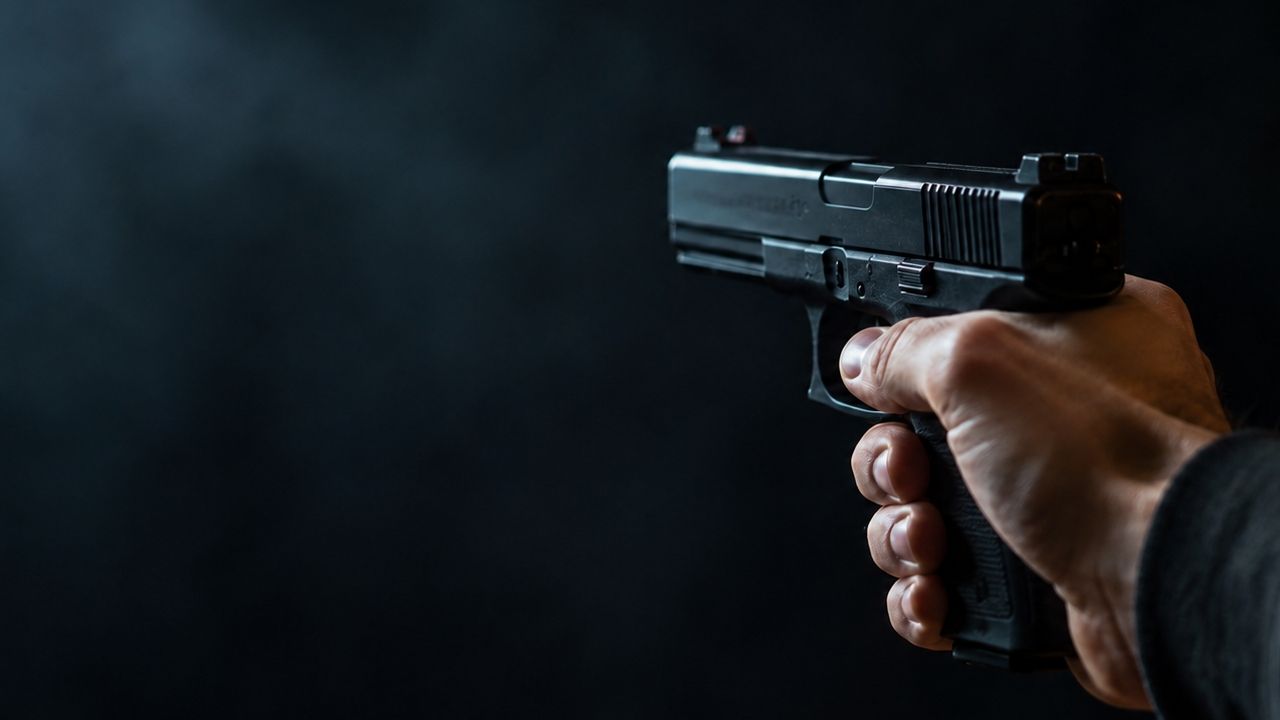 Gun