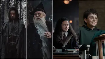 HARRY POTTER SERIES.