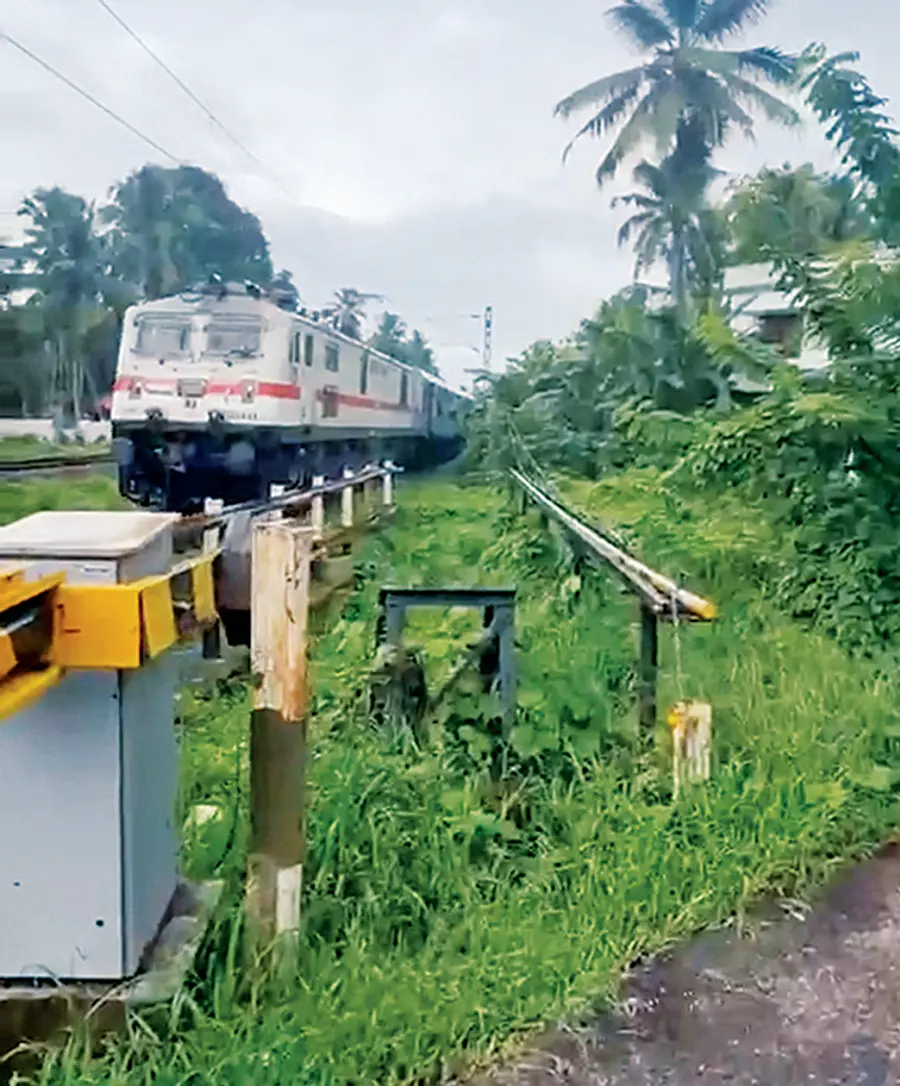 train