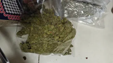 Hybrid Ganja.JPG