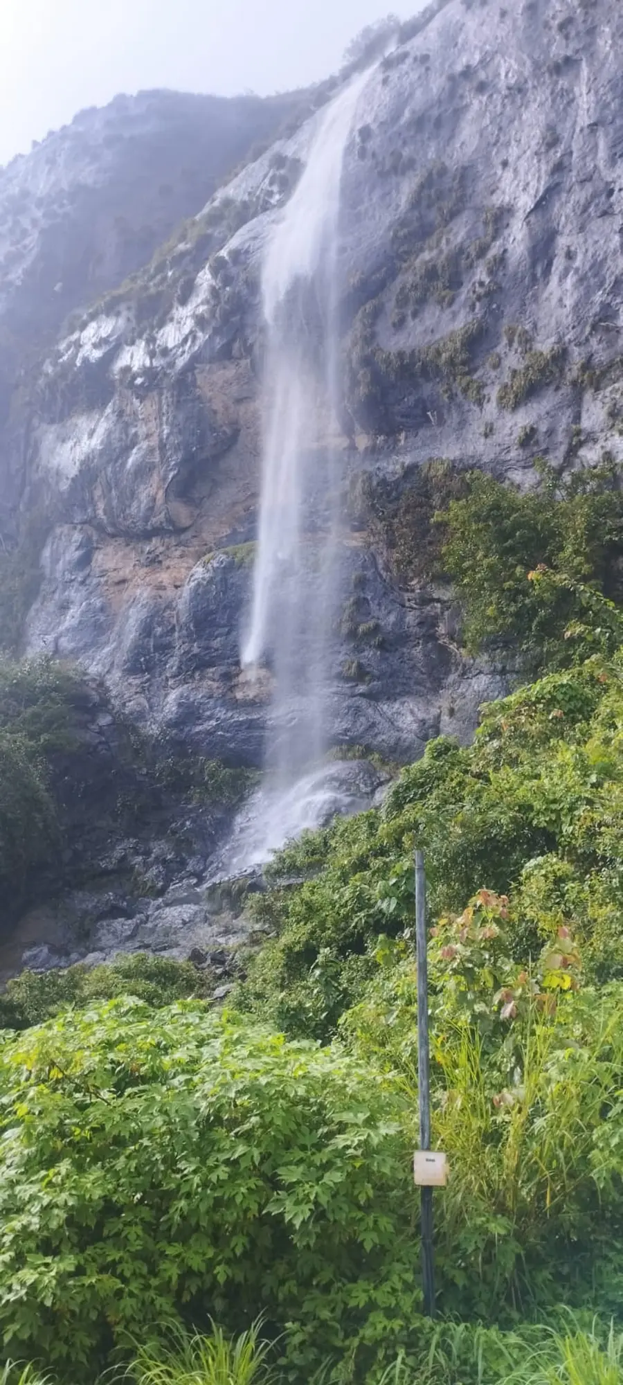 പഞ്ചാരക്കുത്ത്