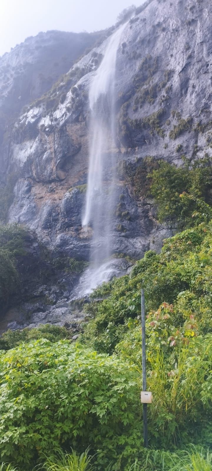 പഞ്ചാരക്കുത്ത് 