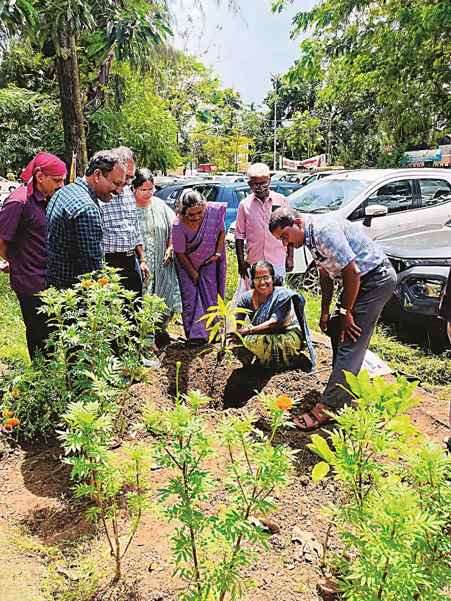 കേരള ഗസറ്റഡ് ഓഫീസേഴ്സ് അസോസിയേഷൻ അഞ്ചിന് കായംകുളത്ത്
നടത്തുന്ന വജ്രജൂബിലി മേഖലാ സംഗമത്തിന്റെ ഭാഗമായി വൃക്ഷത്തൈനടീല് ജില്ലാ പഞ്ചായത്ത് പ്രസിഡന്റ് കെ ജി രാജേശ്വരി ഉദ്ഘാടനംചെയ്യുന്നു