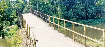 കുരട്ടിക്കാട് കോട്ടയ്ക്കൽ കടവ് ആംബുലൻസ് പാലം